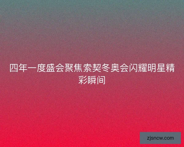 四年一度盛会聚焦索契冬奥会闪耀明星精彩瞬间